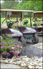 Golf Carts